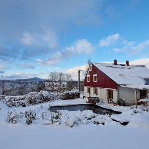 20231126_144917-scaled-1