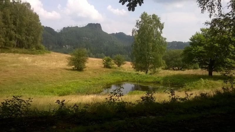 Jetřichovice a výlet do Pfeiferova lesíku