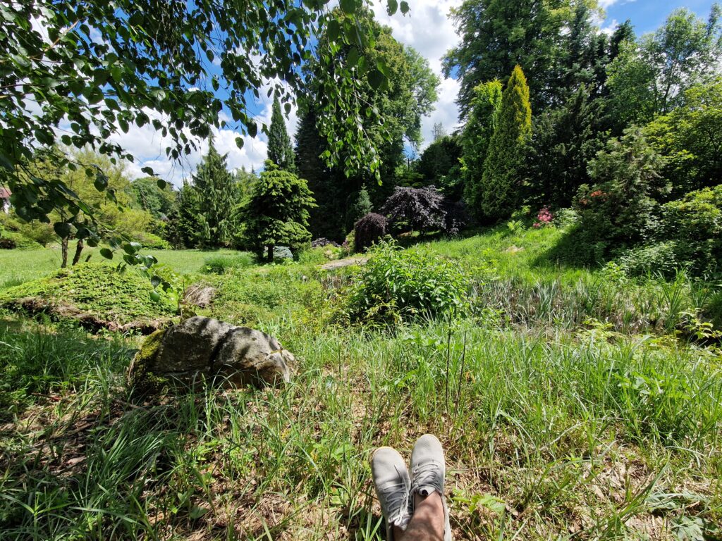 Sněžná a Fritscheho arboretum