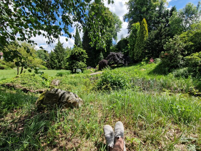 Sněžná a Fritscheho arboretum